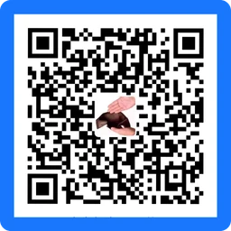 支付宝支付